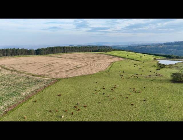 FARM FOR SALE IN MOUNT VERDE